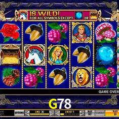 Fortune Tiger slot